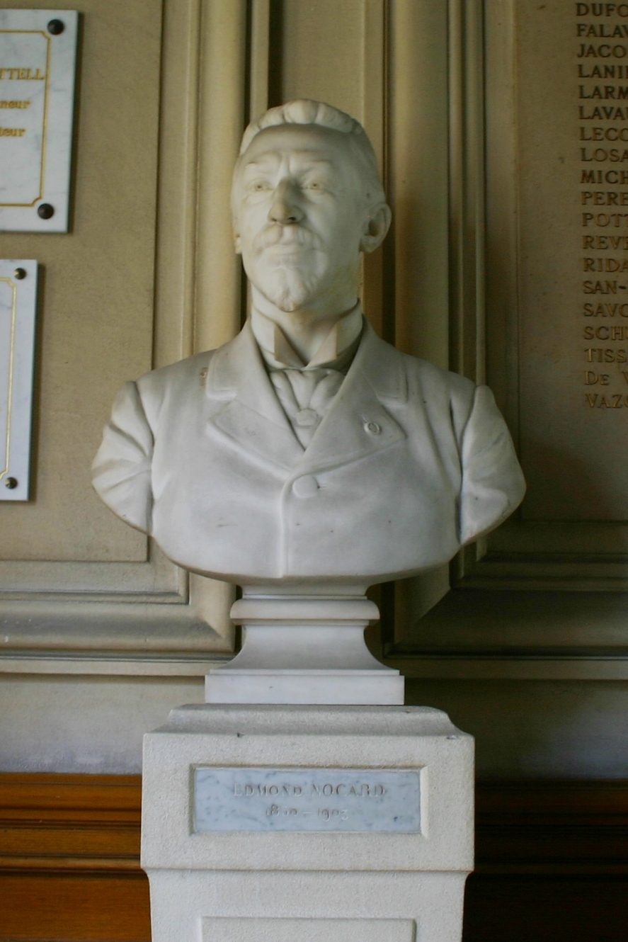 Edmond Nocard's bust, Institut Pasteur, Paris - 02.JPG